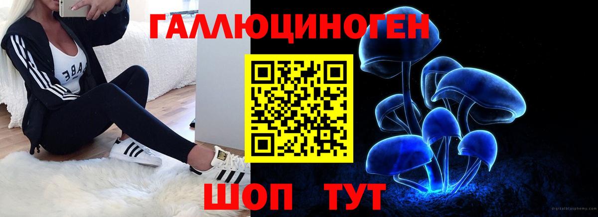 Псилоцибиновые грибы Psilocybe  Псилоцибиновые грибы прущие грибы  Кунгур  Вход с VPN 