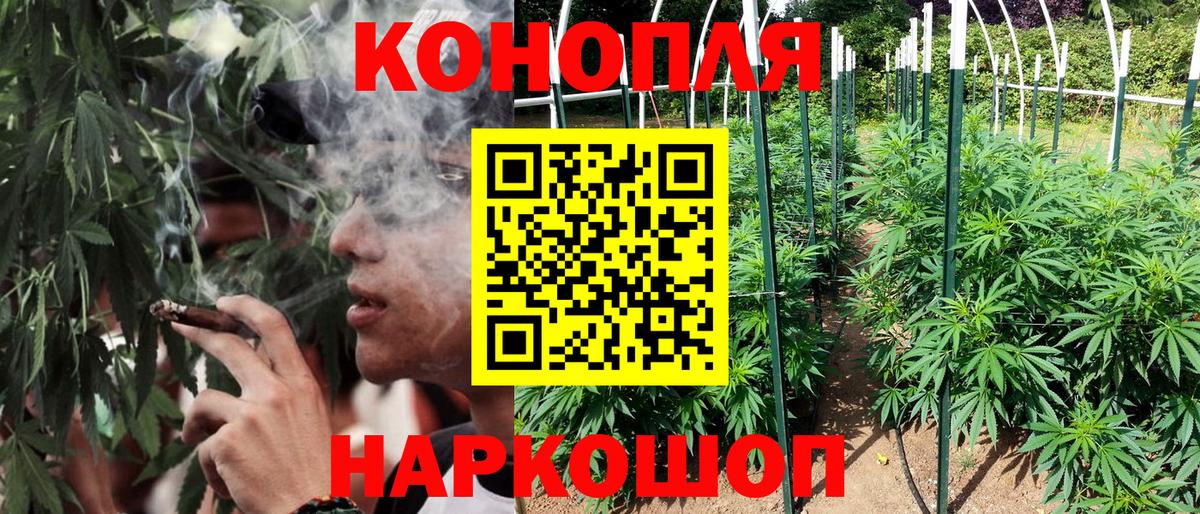 Кунгур  Канабис SATIVA & INDICA  МАРИХУАНА план  Вход с VPN  Бошки марихуана Bruce Banner 